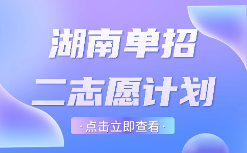 湖南艺术职业学院2024年单独招生二志愿考生考试通知